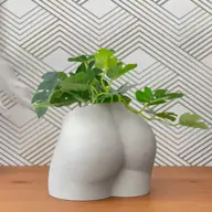 Butta planter 1