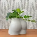 Butta planter 1