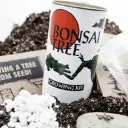 Bonsai