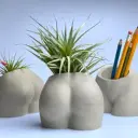 Butta planter